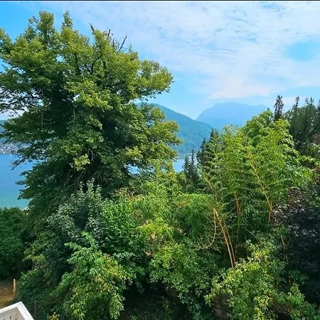 Buben Am See, Direkt Neben Schloss Orth * Gmunden